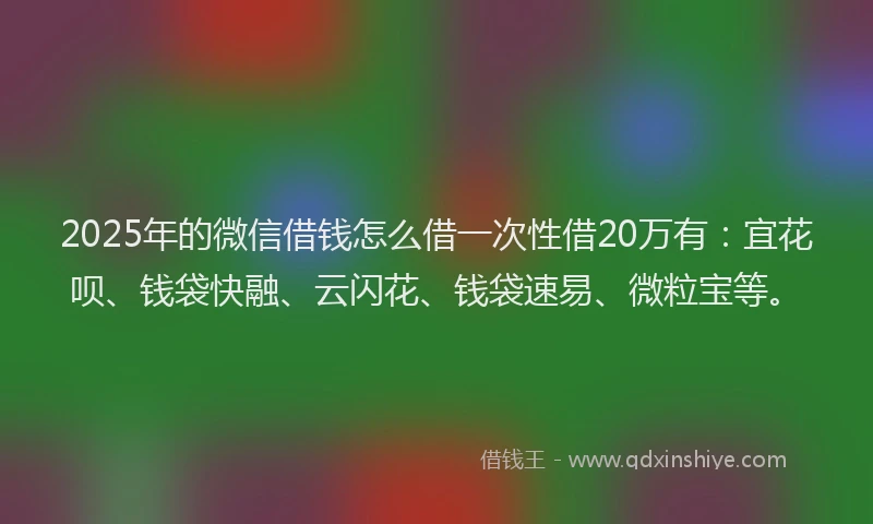 2025年的微信借钱怎么借一次性借20万有：宜花呗、钱袋快融、云闪花、钱袋速易、微粒宝等。