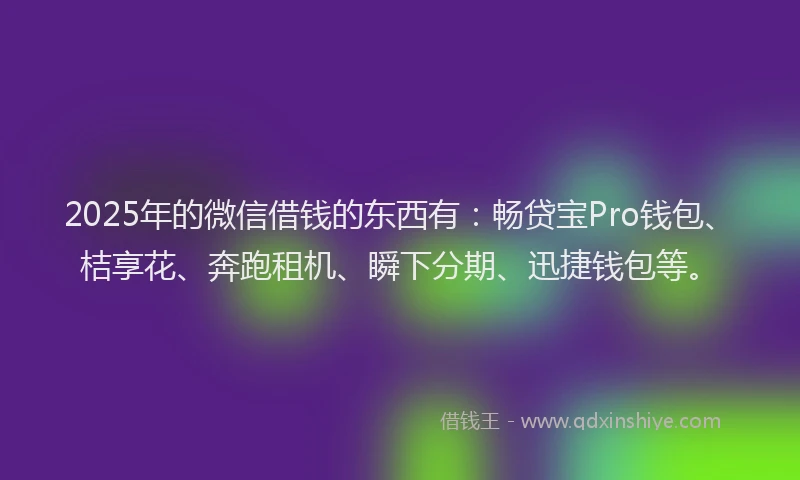 2025年的微信借钱的东西有：畅贷宝Pro钱包、桔享花、奔跑租机、瞬下分期、迅捷钱包等。
