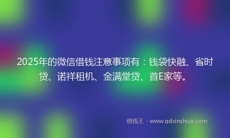 2025年的微信借钱注意事项有：钱袋快融、省时贷、诺祥租机、金满堂贷、首E家等。