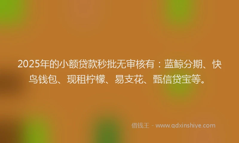 2025年的小额贷款秒批无审核有：蓝鲸分期、快鸟钱包、现租柠檬、易支花、甄信贷宝等。