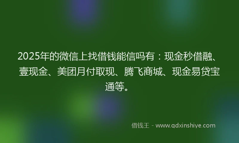 2025年的微信上找借钱能信吗有：现金秒借融、壹现金、美团月付取现、腾飞商城、现金易贷宝通等。