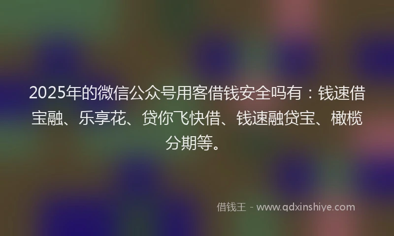 2025年的微信公众号用客借钱安全吗有：钱速借宝融、乐享花、贷你飞快借、钱速融贷宝、橄榄分期等。