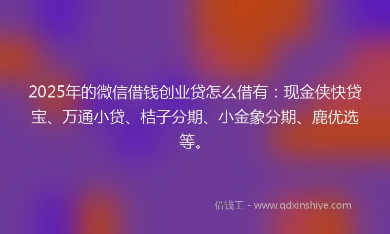 2025年的微信借钱创业贷怎么借有：现金侠快贷宝、万通小贷、桔子分期、小金象分期、鹿优选等。