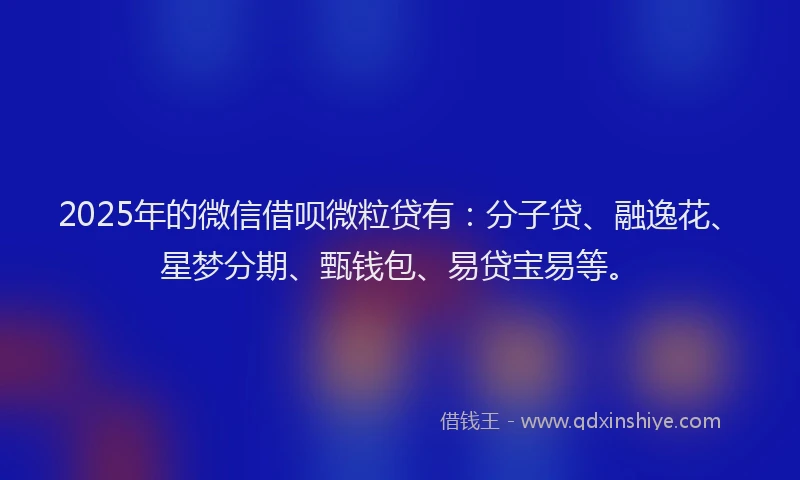 2025年的微信借呗微粒贷有：分子贷、融逸花、星梦分期、甄钱包、易贷宝易等。