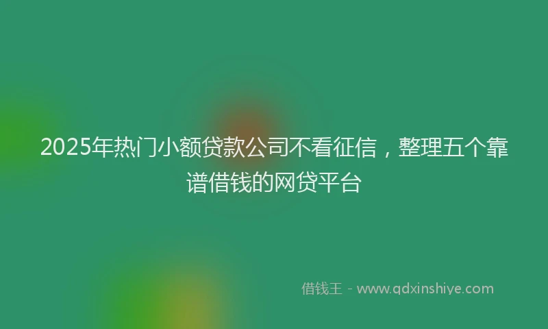 2025年热门小额贷款公司不看征信，整理五个靠谱借钱的网贷平台