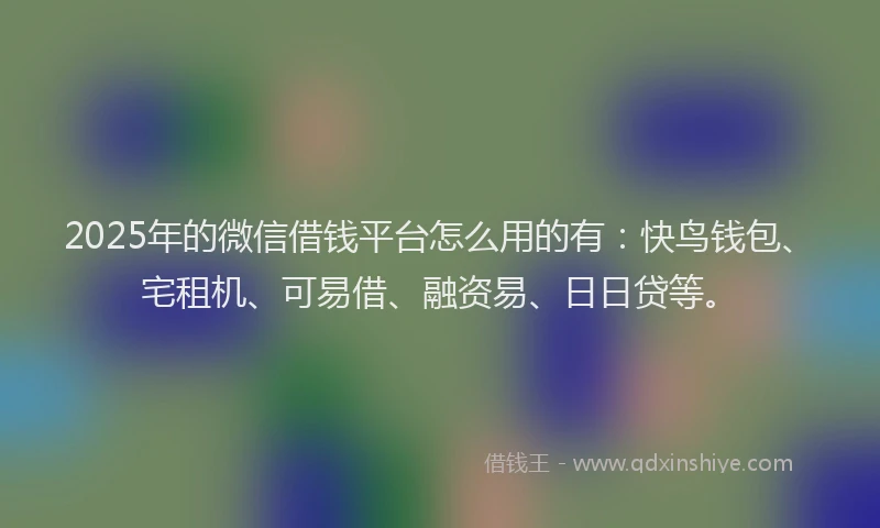 2025年的微信借钱平台怎么用的有：快鸟钱包、宅租机、可易借、融资易、日日贷等。