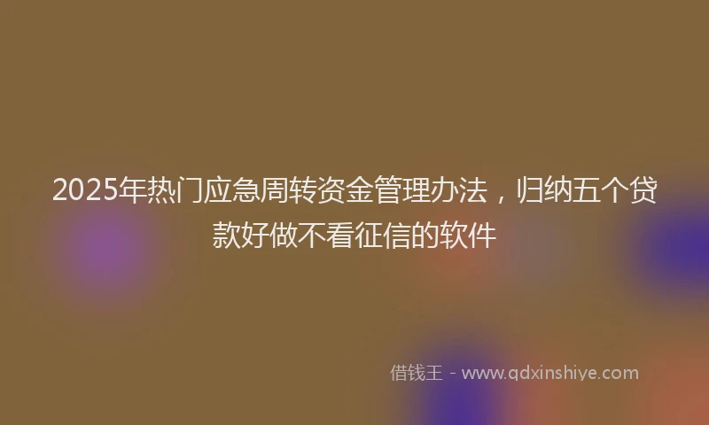 2025年热门应急周转资金管理办法，归纳五个贷款好做不看征信的软件