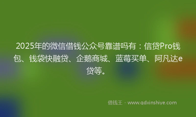 2025年的微信借钱公众号靠谱吗有：信贷Pro钱包、钱袋快融贷、企鹅商城、蓝莓买单、阿凡达e贷等。