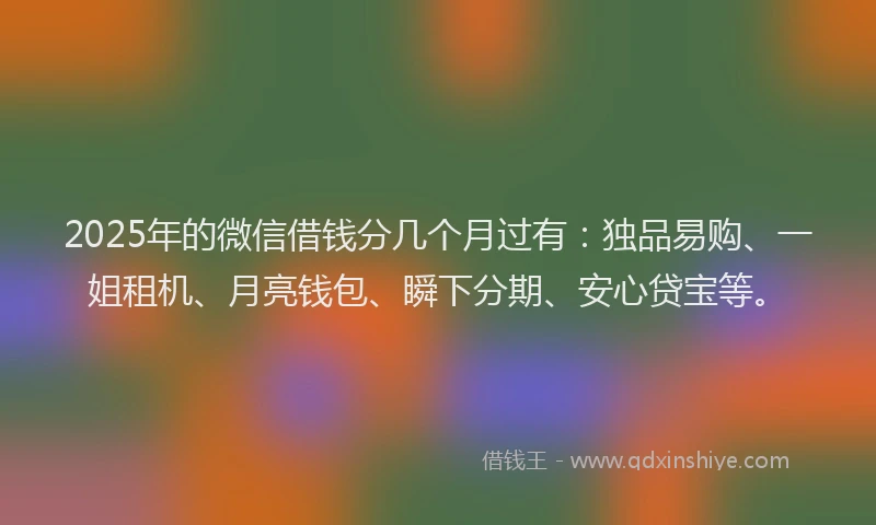 2025年的微信借钱分几个月过有：独品易购、一姐租机、月亮钱包、瞬下分期、安心贷宝等。
