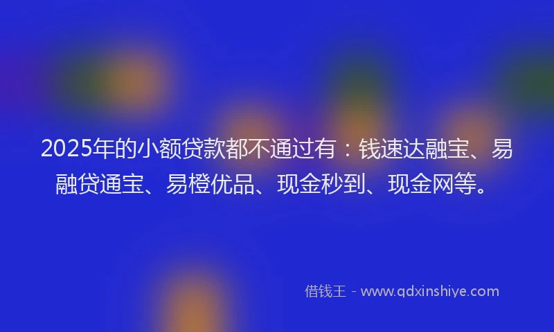 2025年的小额贷款都不通过有：钱速达融宝、易融贷通宝、易橙优品、现金秒到、现金网等。