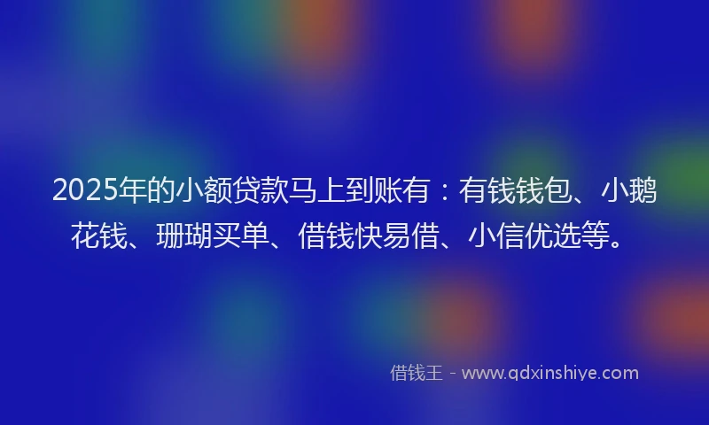 2025年的小额贷款马上到账有：有钱钱包、小鹅花钱、珊瑚买单、借钱快易借、小信优选等。