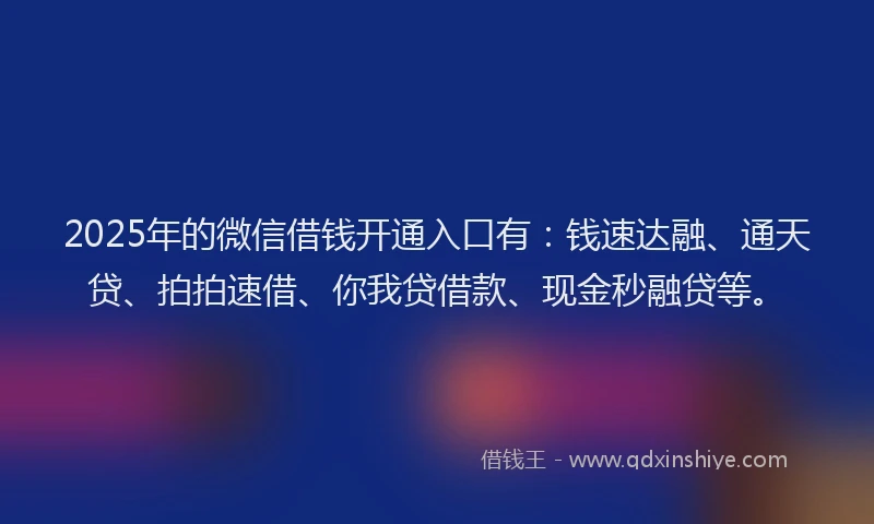 2025年的微信借钱开通入口有：钱速达融、通天贷、拍拍速借、你我贷借款、现金秒融贷等。
