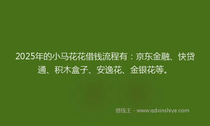 2025年的小马花花借钱流程有：京东金融、快贷通、积木盒子、安逸花、金银花等。