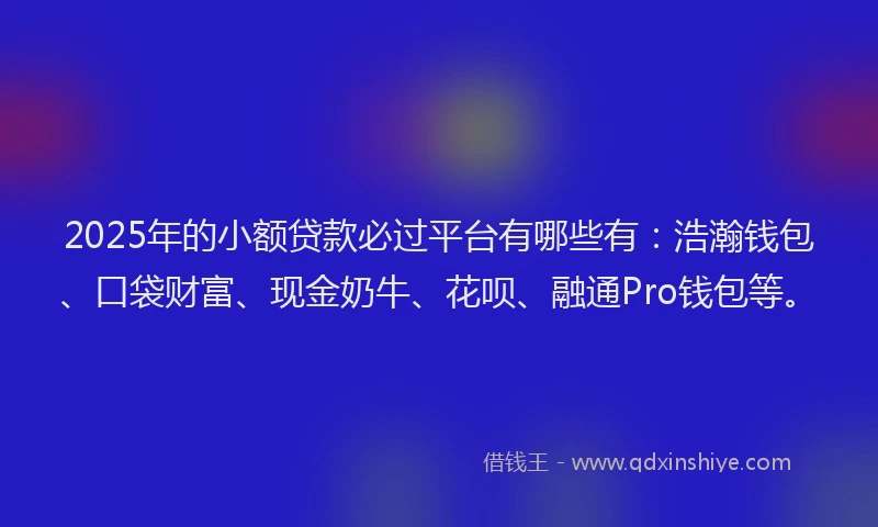 2025年的小额贷款必过平台有哪些有：浩瀚钱包、口袋财富、现金奶牛、花呗、融通Pro钱包等。