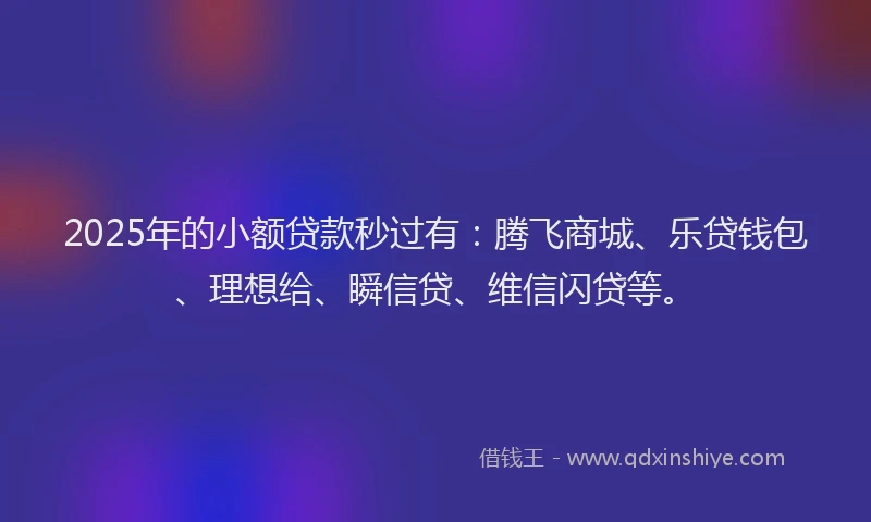 2025年的小额贷款秒过有：腾飞商城、乐贷钱包、理想给、瞬信贷、维信闪贷等。