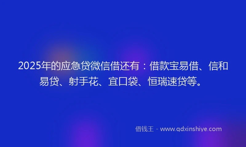 2025年的应急贷微信借还有：借款宝易借、信和易贷、射手花、宜口袋、恒瑞速贷等。
