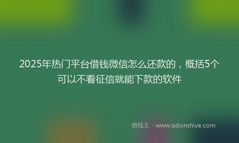 2025年热门平台借钱微信怎么还款的,概括5个可以不看征信就能下款的软件