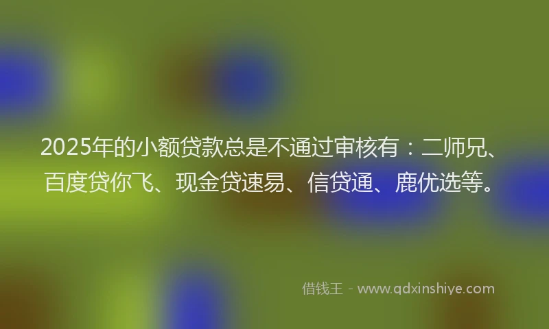 2025年的小额贷款总是不通过审核有：二师兄、百度贷你飞、现金贷速易、信贷通、鹿优选等。