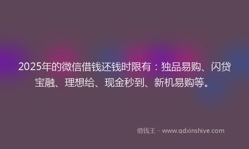 2025年的微信借钱还钱时限有：独品易购、闪贷宝融、理想给、现金秒到、新机易购等。