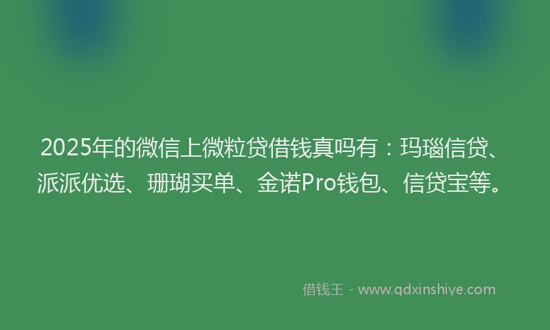 2025年的微信上微粒贷借钱真吗有：玛瑙信贷、派派优选、珊瑚买单、金诺Pro钱包、信贷宝等。