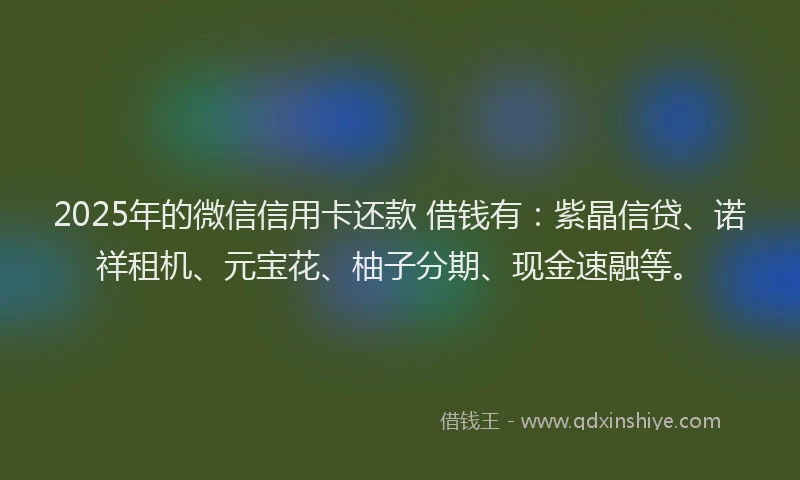 2025年的微信信用卡还款 借钱有：紫晶信贷、诺祥租机、元宝花、柚子分期、现金速融等。