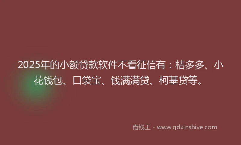 2025年的小额贷款软件不看征信有：桔多多、小花钱包、口袋宝、钱满满贷、柯基贷等。