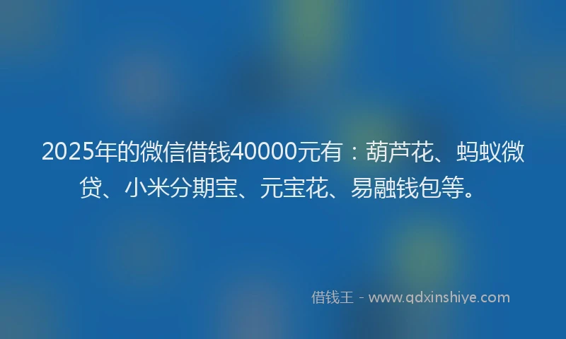 2025年的微信借钱40000元有：葫芦花、蚂蚁微贷、小米分期宝、元宝花、易融钱包等。