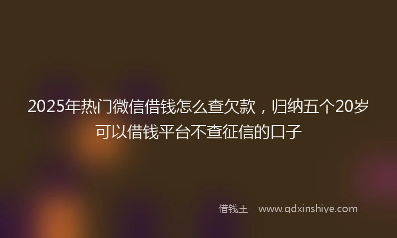 2025年热门微信借钱怎么查欠款，归纳五个20岁可以借钱平台不查征信的口子