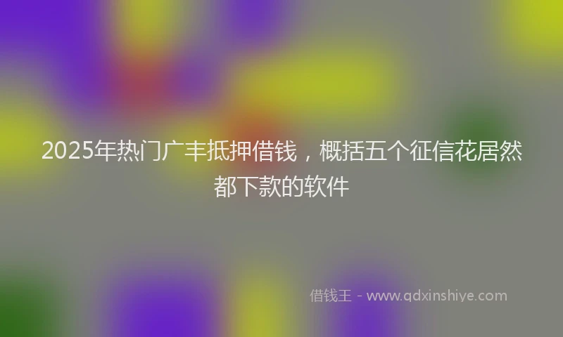 2025年热门广丰抵押借钱，概括五个征信花居然都下款的软件