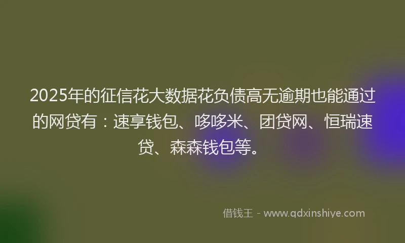 2025年的征信花大数据花负债高无逾期也能通过的网贷有：速享钱包、哆哆米、团贷网、恒瑞速贷、森森钱包等。