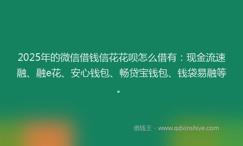 2025年的微信借钱信花花呗怎么借有：现金流速融、融e花、安心钱包、畅贷宝钱包、钱袋易融等。