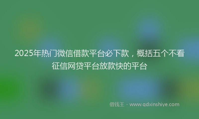 2025年热门微信借款平台必下款，概括五个不看征信网贷平台放款快的平台