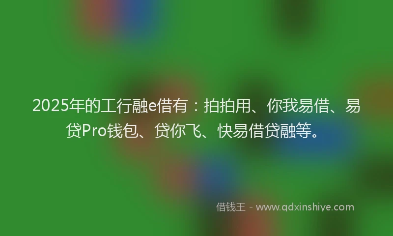 2025年的工行融e借有：拍拍用、你我易借、易贷Pro钱包、贷你飞、快易借贷融等。