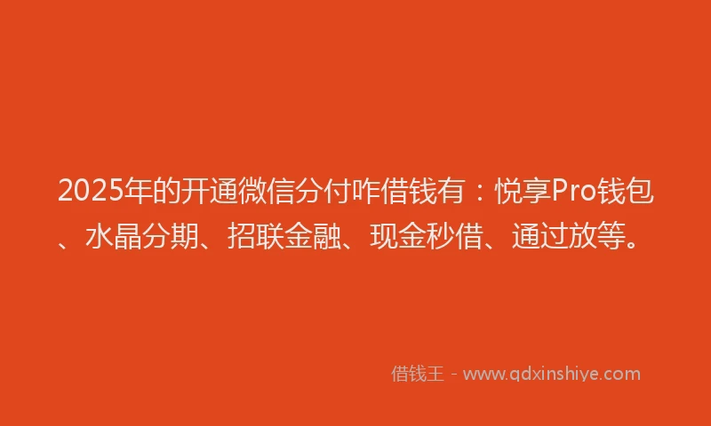 2025年的开通微信分付咋借钱有：悦享Pro钱包、水晶分期、招联金融、现金秒借、通过放等。