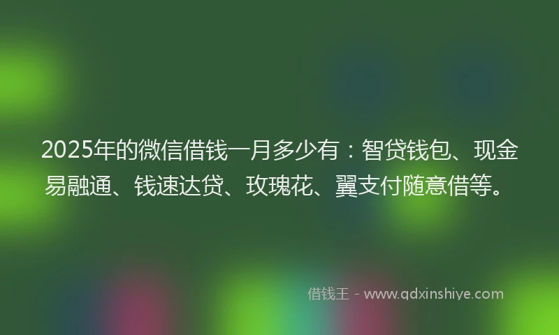 2025年的微信借钱一月多少有：智贷钱包、现金易融通、钱速达贷、玫瑰花、翼支付随意借等。