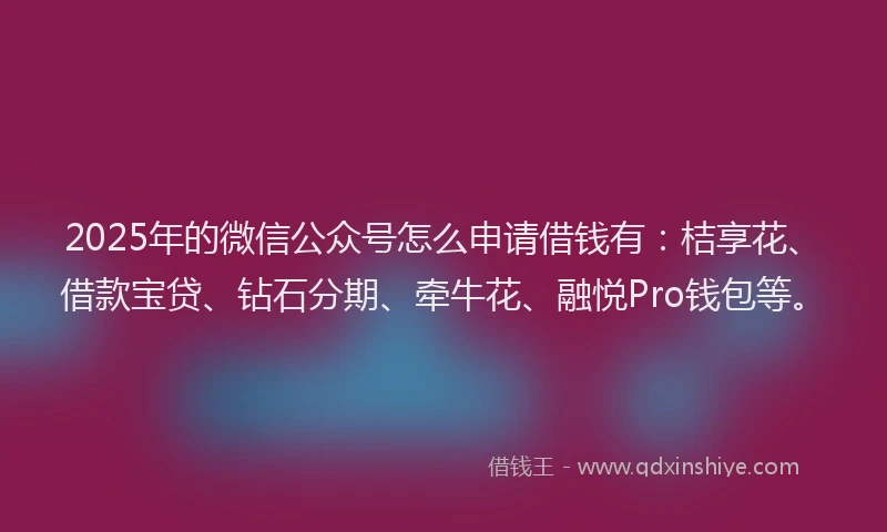 2025年的微信公众号怎么申请借钱有：桔享花、借款宝贷、钻石分期、牵牛花、融悦Pro钱包等。