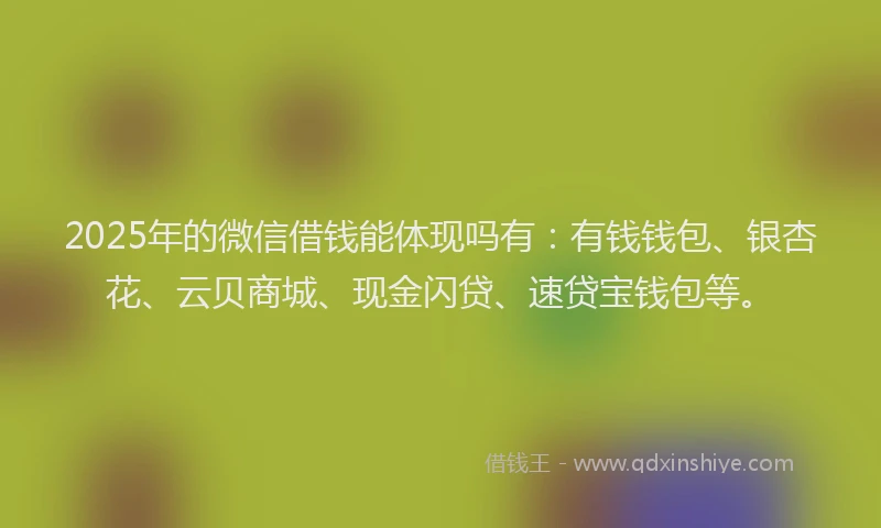 2025年的微信借钱能体现吗有：有钱钱包、银杏花、云贝商城、现金闪贷、速贷宝钱包等。