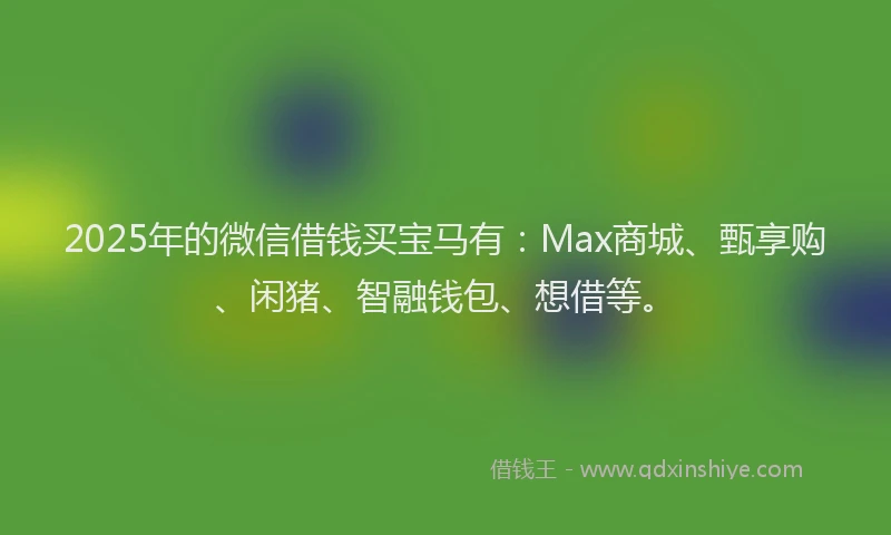 2025年的微信借钱买宝马有：Max商城、甄享购、闲猪、智融钱包、想借等。