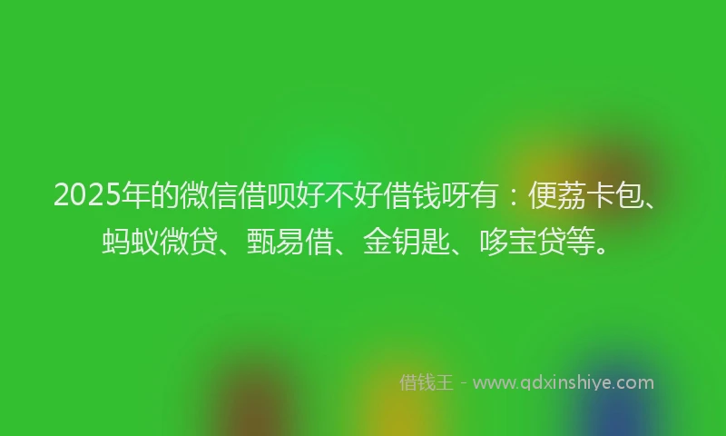 2025年的微信借呗好不好借钱呀有：便荔卡包、蚂蚁微贷、甄易借、金钥匙、哆宝贷等。