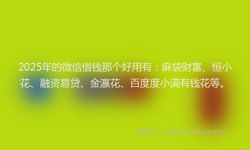 2025年的微信借钱那个好用有：麻袋财富、恒小花、融资易贷、金瀛花、百度度小满有钱花等。