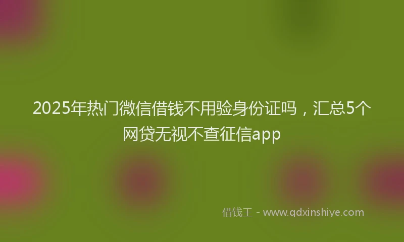 2025年热门微信借钱不用验身份证吗，汇总5个网贷无视不查征信app