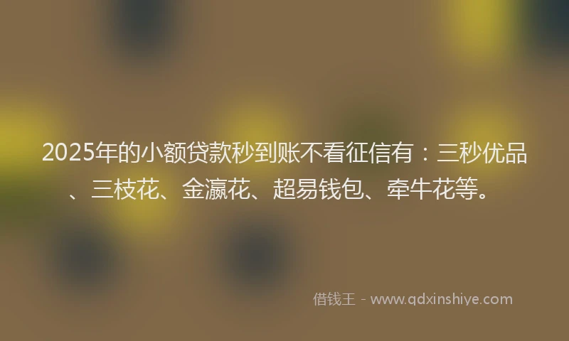 2025年的小额贷款秒到账不看征信有：三秒优品、三枝花、金瀛花、超易钱包、牵牛花等。
