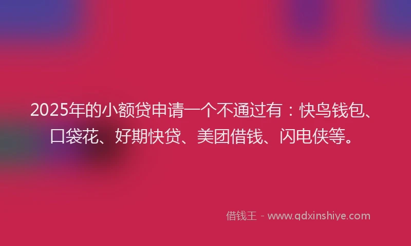 2025年的小额贷申请一个不通过有：快鸟钱包、口袋花、好期快贷、美团借钱、闪电侠等。
