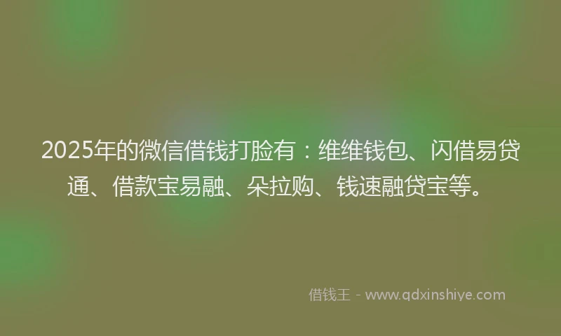 2025年的微信借钱打脸有：维维钱包、闪借易贷通、借款宝易融、朵拉购、钱速融贷宝等。