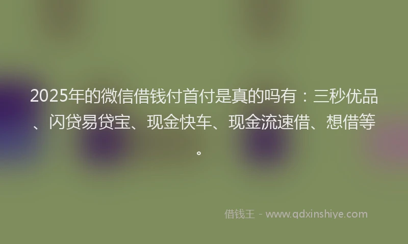 2025年的微信借钱付首付是真的吗有：三秒优品、闪贷易贷宝、现金快车、现金流速借、想借等。