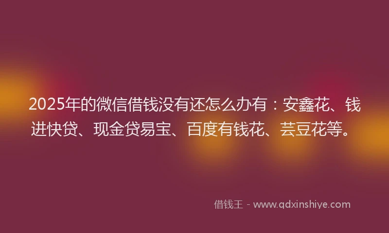 2025年的微信借钱没有还怎么办有：安鑫花、钱进快贷、现金贷易宝、百度有钱花、芸豆花等。