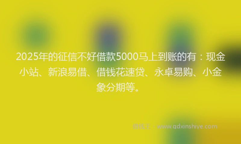 2025年的征信不好借款5000马上到账的有：现金小站、新浪易借、借钱花速贷、永卓易购、小金象分期等。