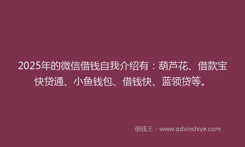 2025年的微信借钱自我介绍有：葫芦花、借款宝快贷通、小鱼钱包、借钱快、蓝领贷等。