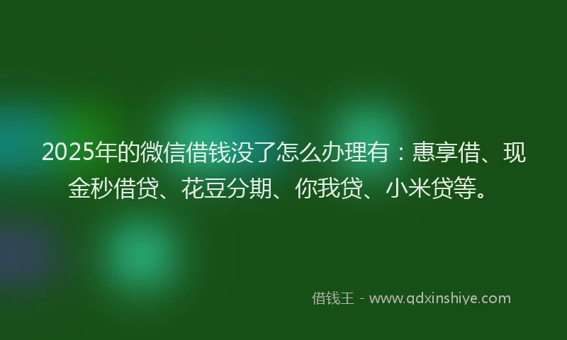 2025年的微信借钱没了怎么办理有：惠享借、现金秒借贷、花豆分期、你我贷、小米贷等。