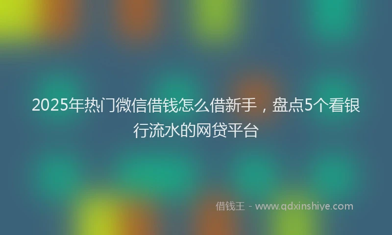 2025年热门微信借钱怎么借新手，盘点5个看银行流水的网贷平台